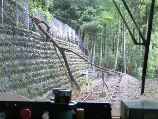 f:id:noririn3103:20200602221101j:plain