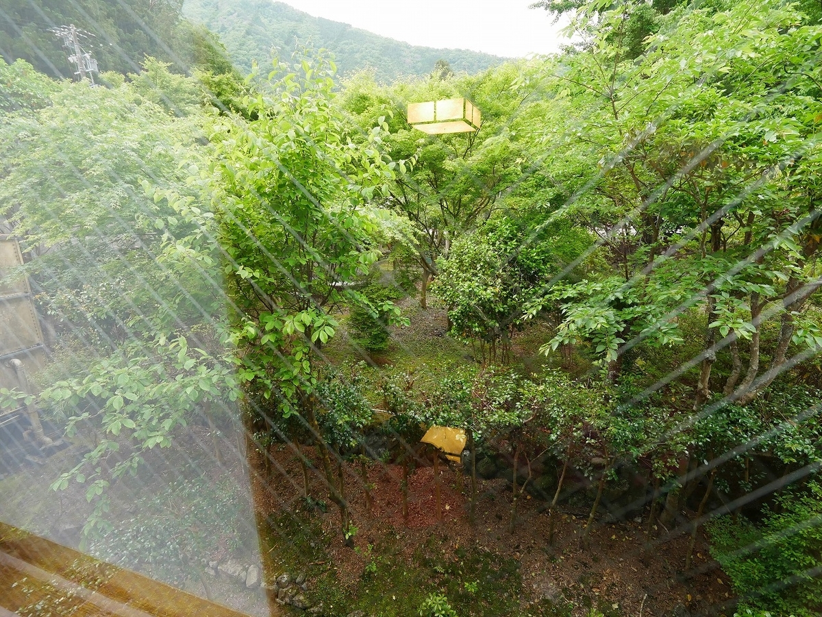 f:id:noririn3103:20200614100712j:plain