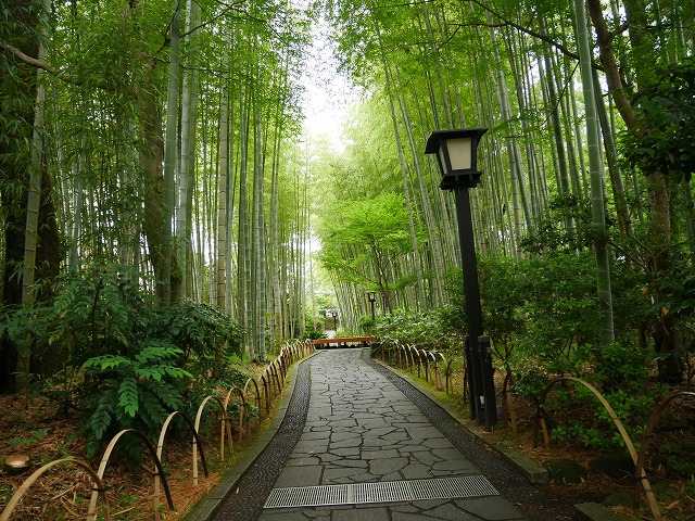 f:id:noririn3103:20200627125211j:plain f:id:noririn3103:20200627125211j:plain
