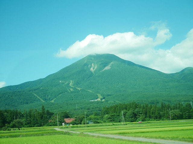 f:id:noririn3103:20200905152337j:plain f:id:noririn3103:20200905152337j:plain