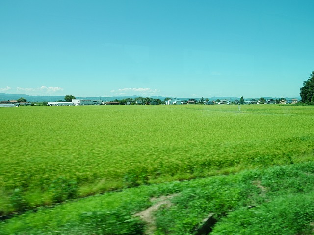 f:id:noririn3103:20200908215239j:plain f:id:noririn3103:20200908215239j:plain