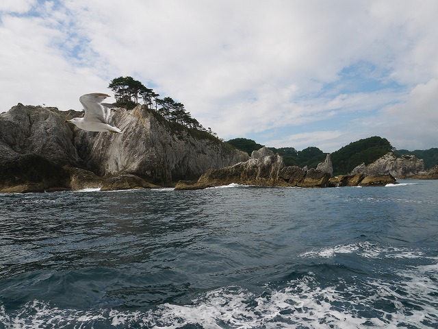 f:id:noririn3103:20200921204602j:plain