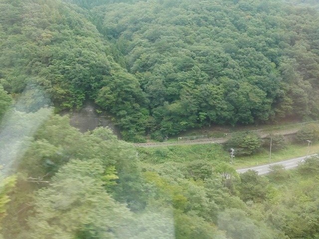 f:id:noririn3103:20201007164919j:plain