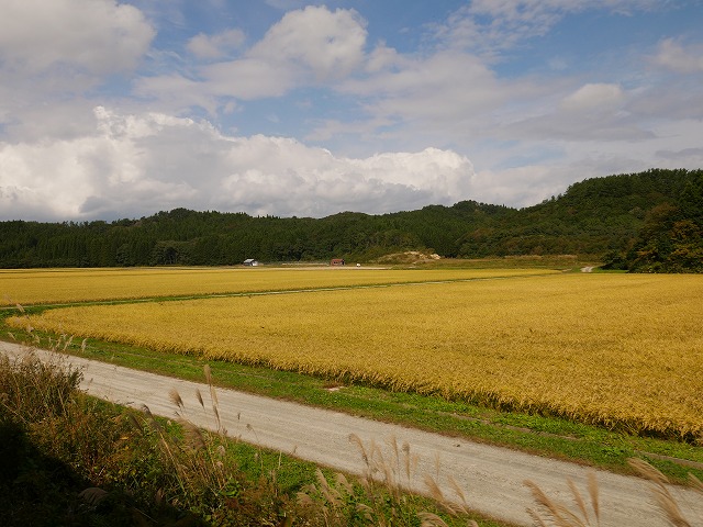 f:id:noririn3103:20201024132003j:plain