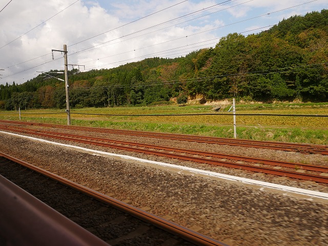 f:id:noririn3103:20201024132801j:plain