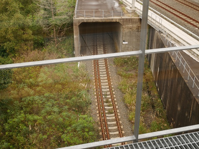 f:id:noririn3103:20201025160552j:plain