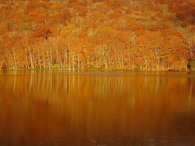 f:id:noririn3103:20201103110925j:plain f:id:noririn3103:20201103110925j:plain