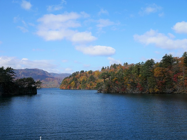f:id:noririn3103:20201103173459j:plain f:id:noririn3103:20201103173459j:plain
