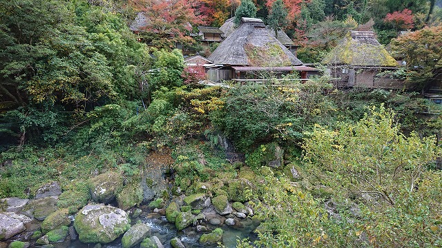 f:id:noririn3103:20201206210540j:plain