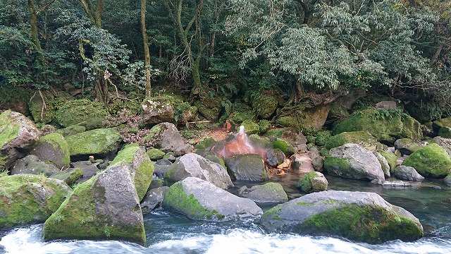 f:id:noririn3103:20201213202221j:plain