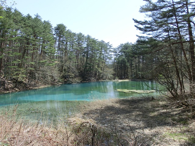 f:id:noririn3103:20210204124832j:plain