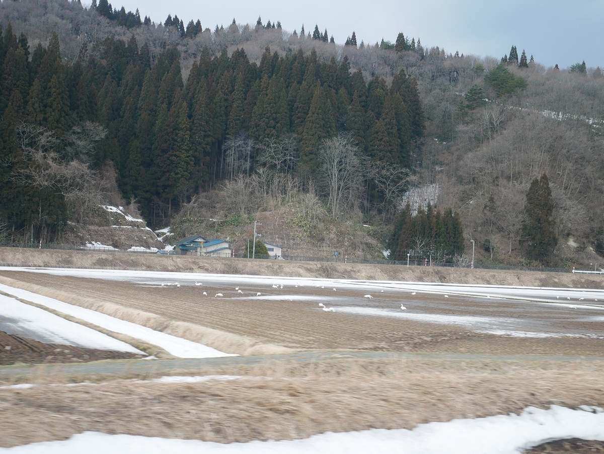 f:id:noririn3103:20210329194031j:plain
