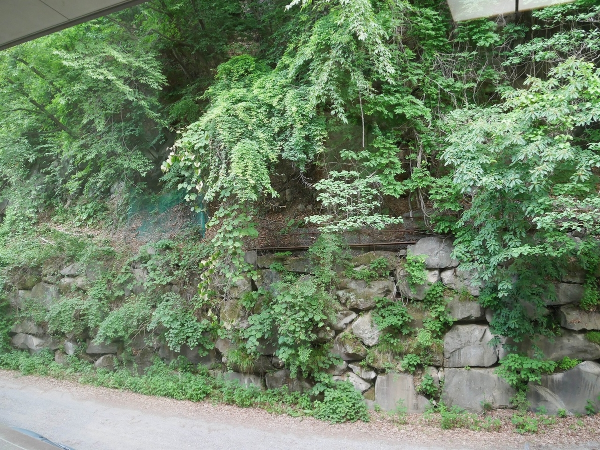 f:id:noririn3103:20210709083002j:plain