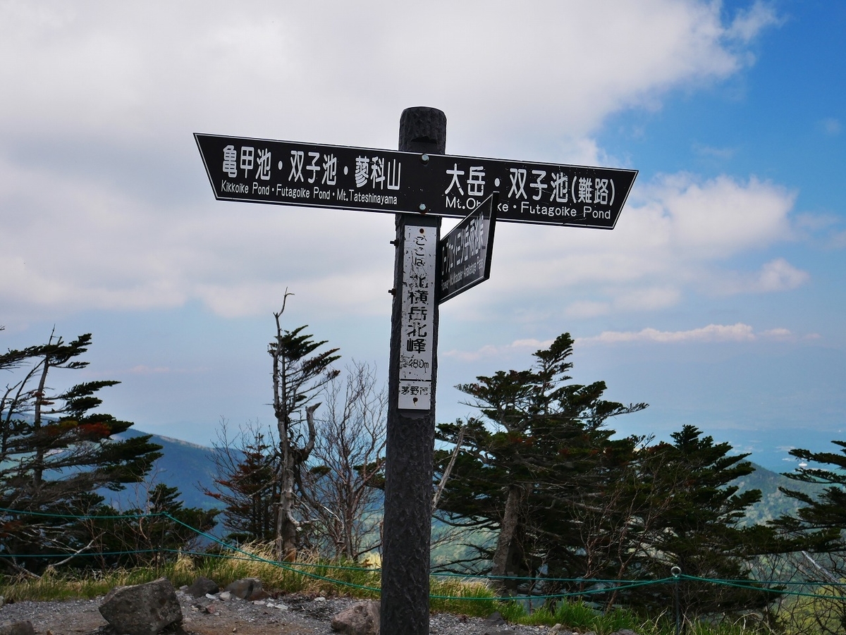 f:id:noririn3103:20210709153447j:plain