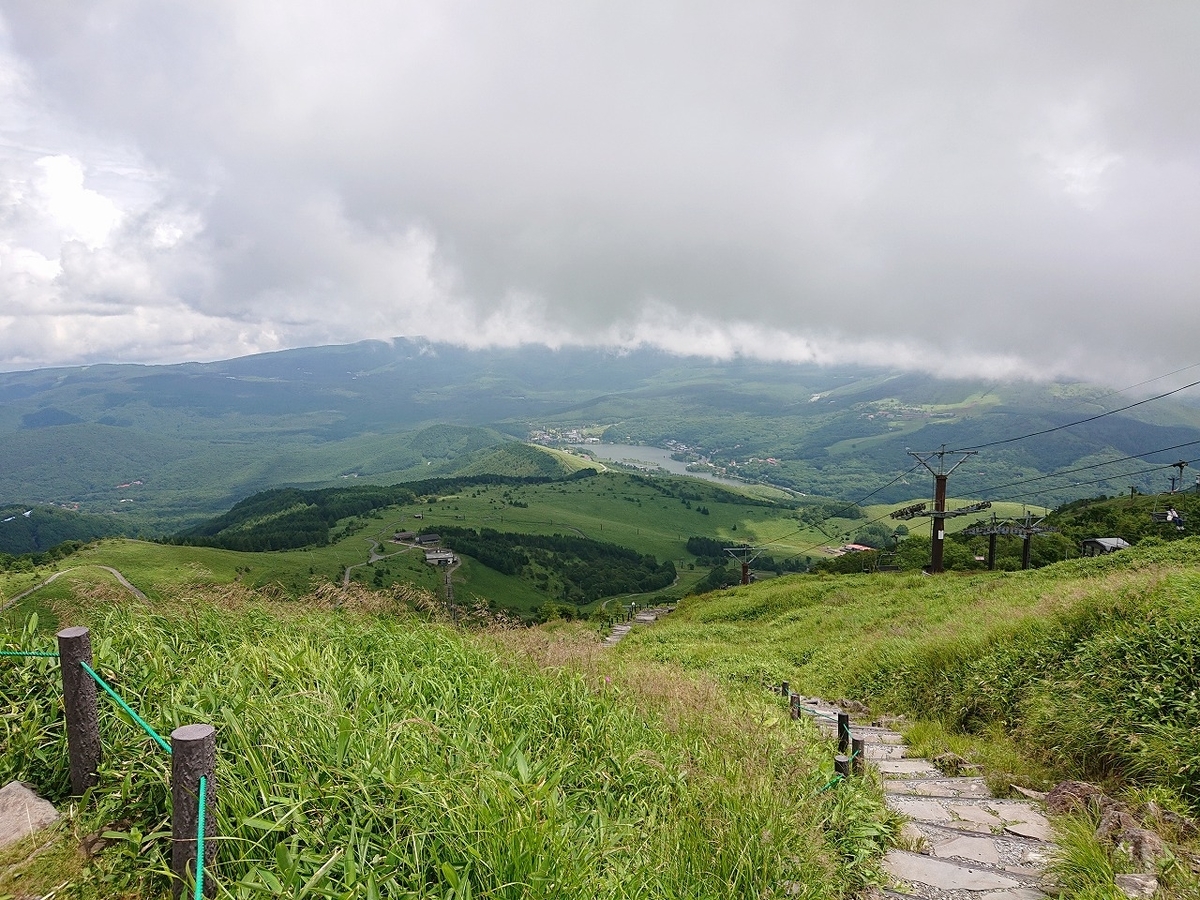 f:id:noririn3103:20210807165921j:plain