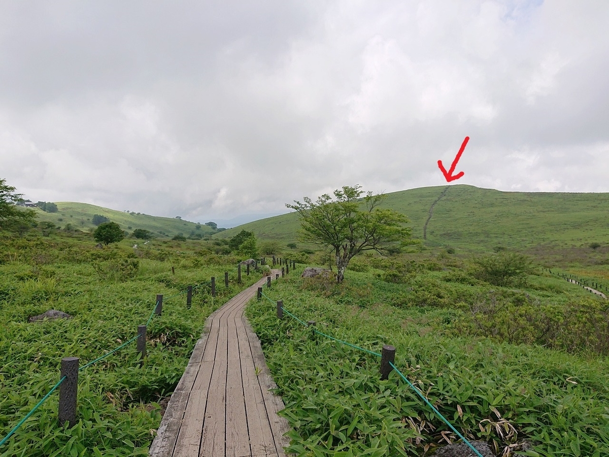 f:id:noririn3103:20210807171923j:plain
