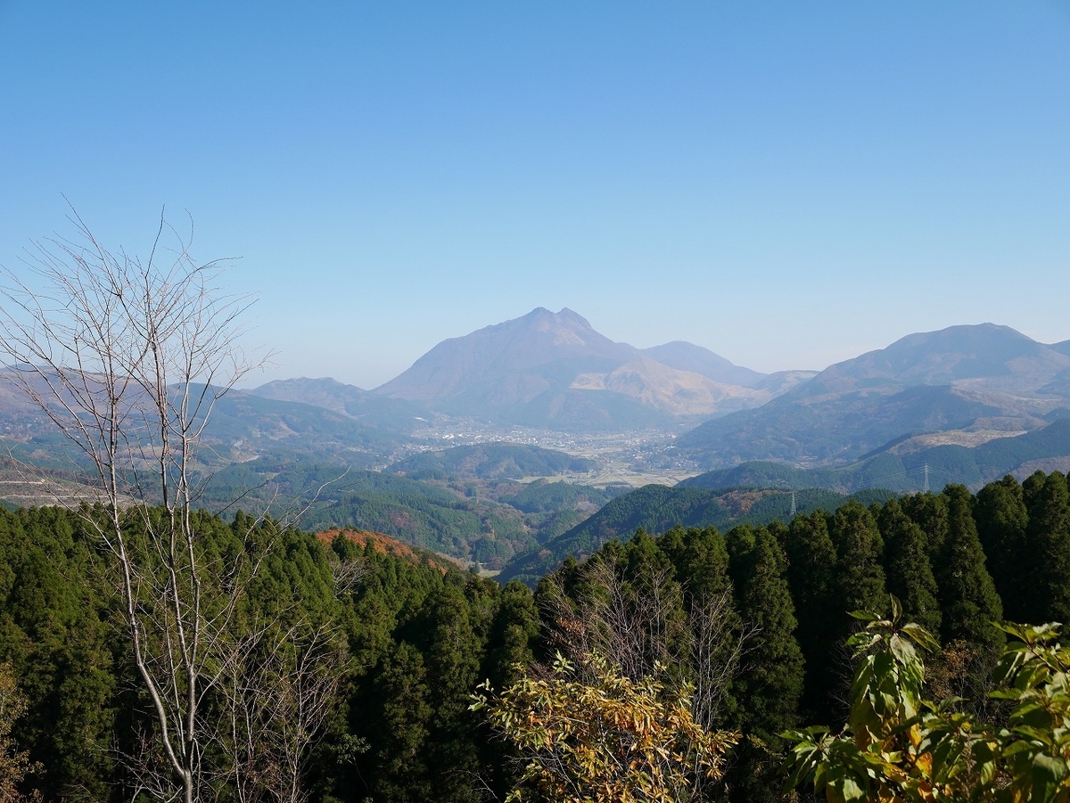 f:id:noririn3103:20211121134004j:plain
