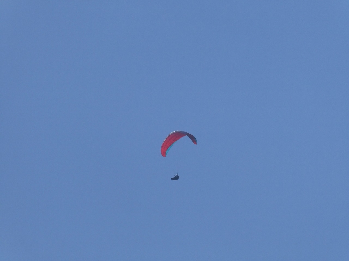 f:id:noririn3103:20211121171838j:plain