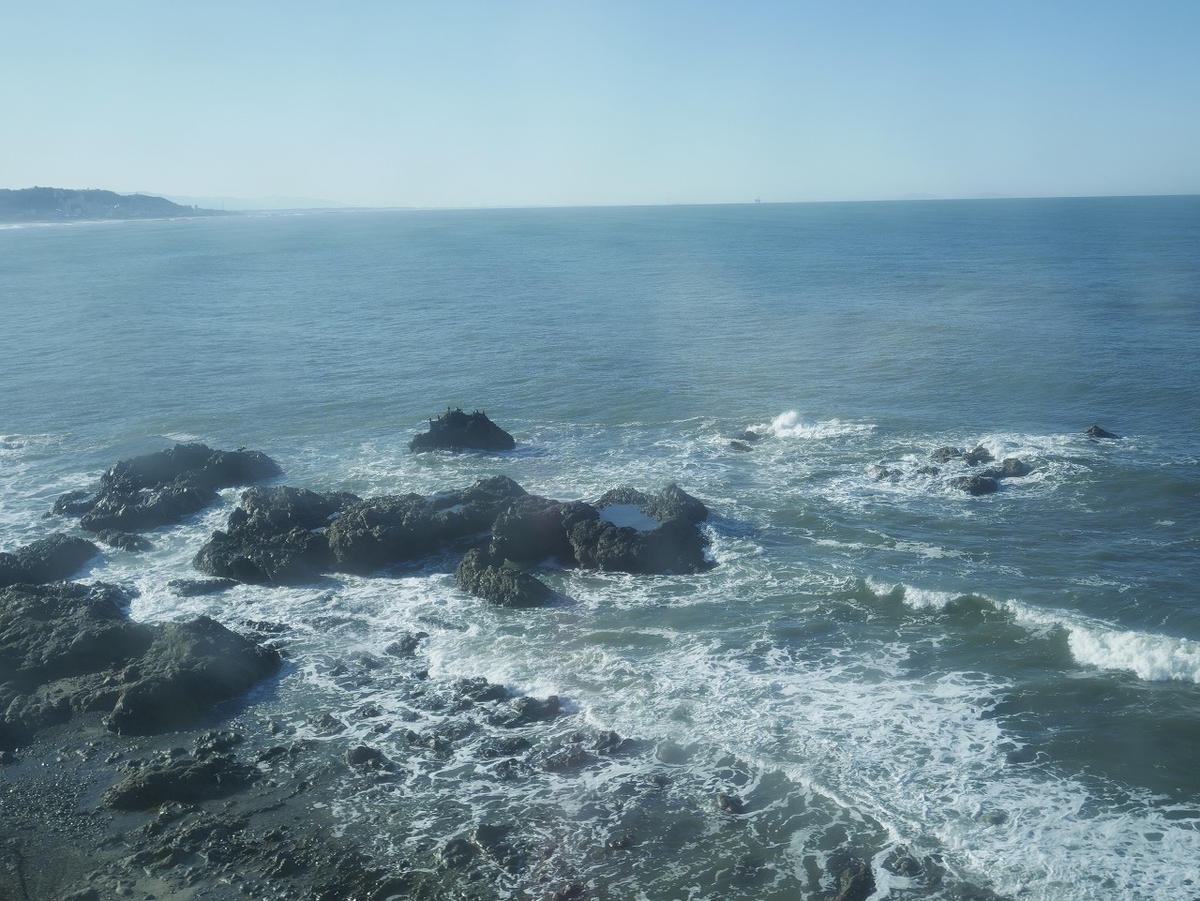 f:id:noririn3103:20211210175803j:plain