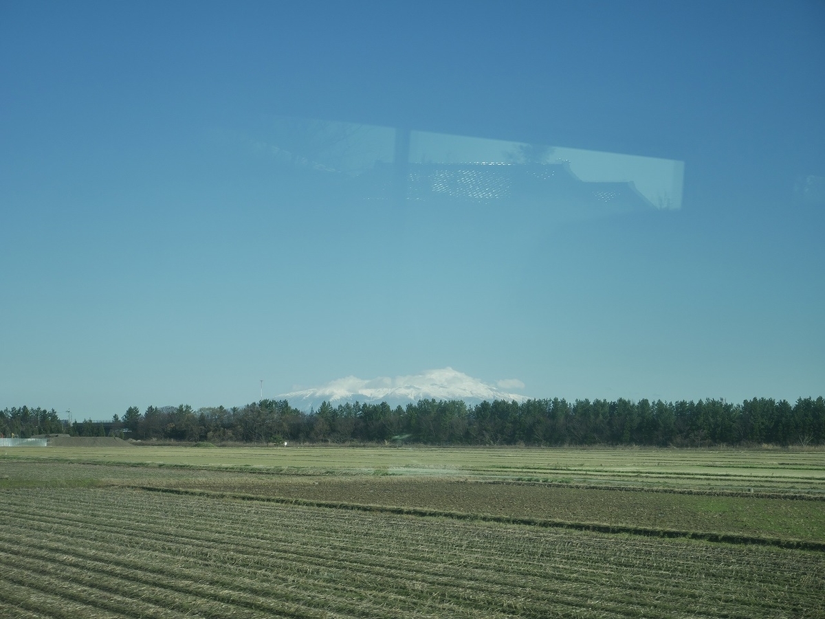 f:id:noririn3103:20211210205102j:plain
