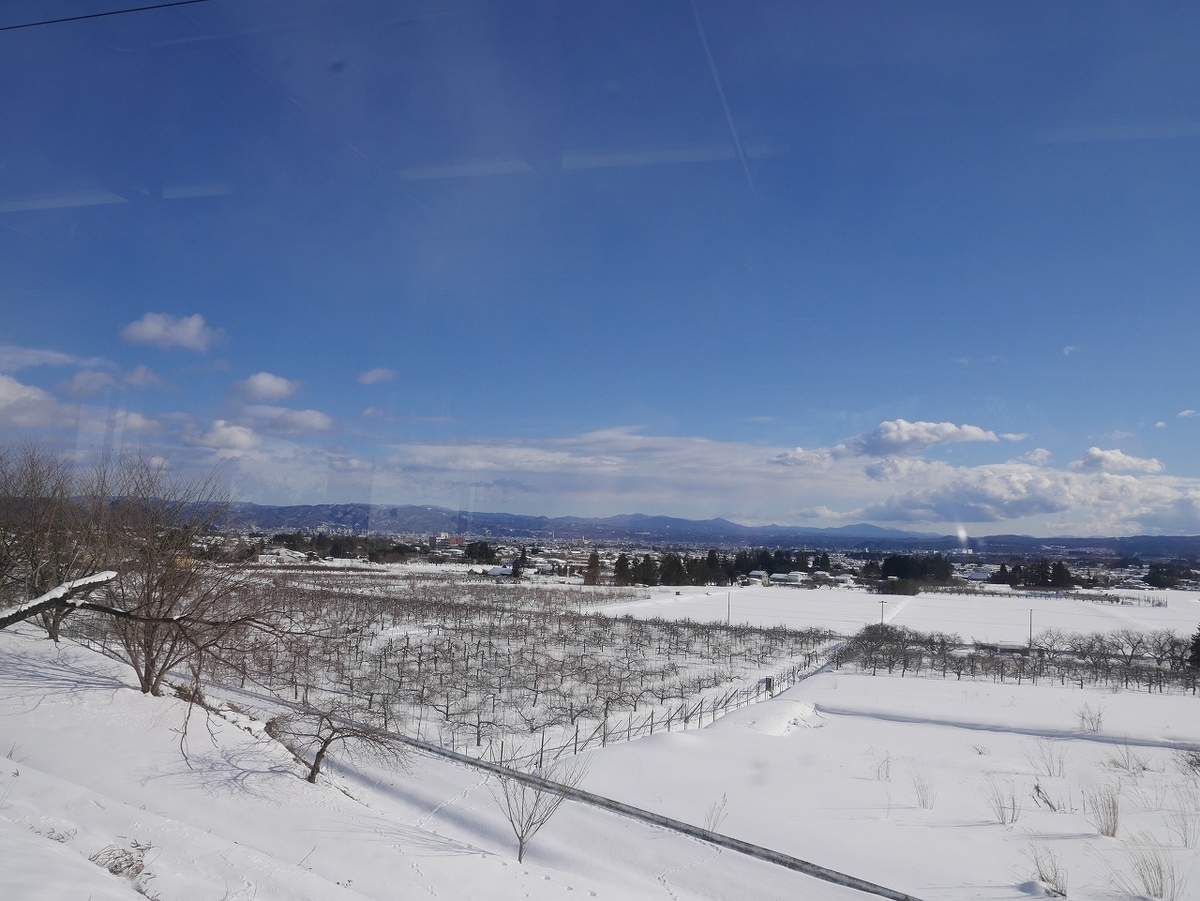 f:id:noririn3103:20220124155043j:plain
