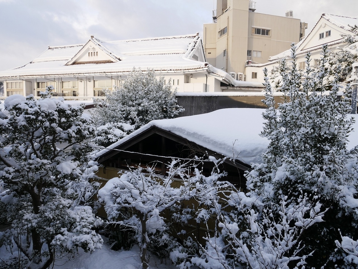 f:id:noririn3103:20220206104842j:plain