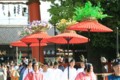 20090531164556