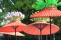 20090531164557