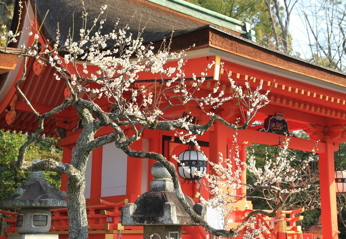 f:id:noririn_0610:20210221092014j:plain