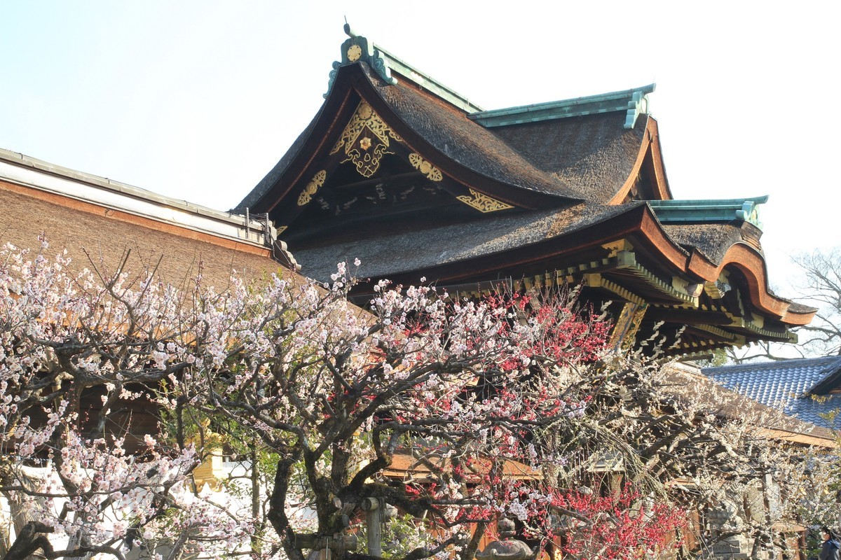 f:id:noririn_0610:20210221095424j:plain