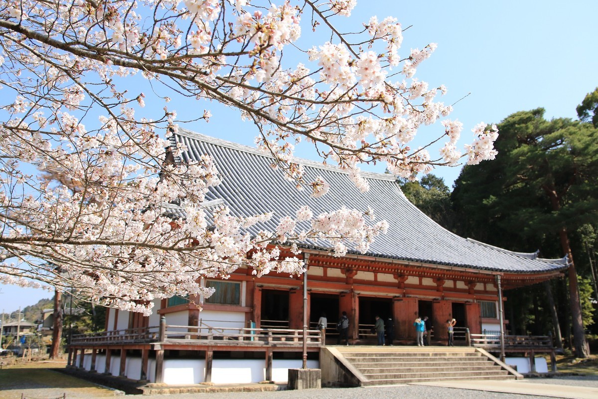 f:id:noririn_0610:20210323100626j:plain