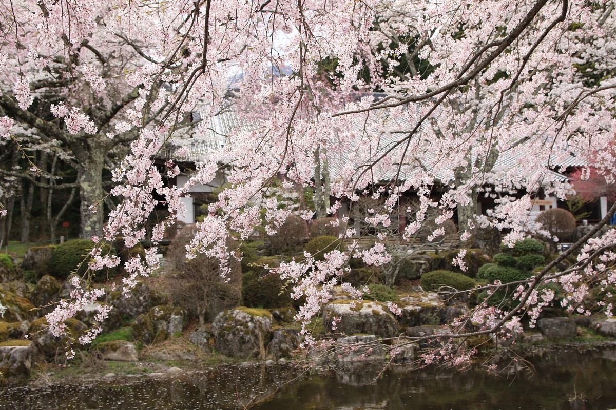 f:id:noririn_0610:20210408141352j:plain