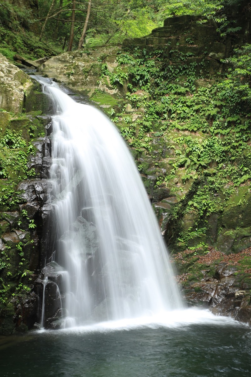 f:id:noririn_0610:20210526163314j:plain