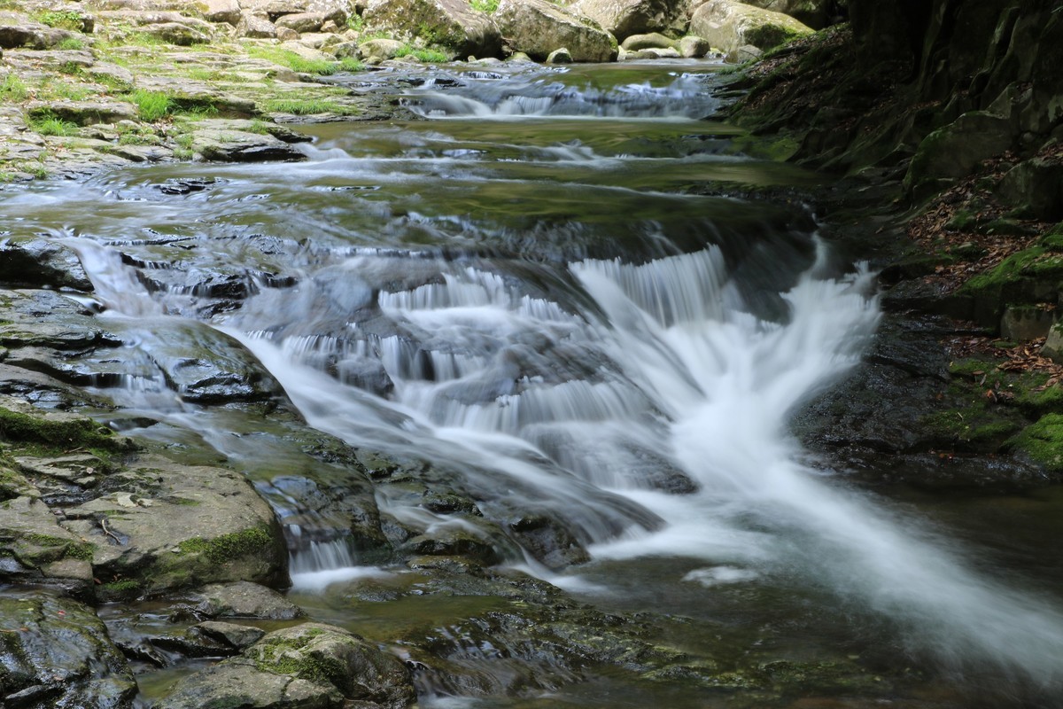 f:id:noririn_0610:20210526164410j:plain