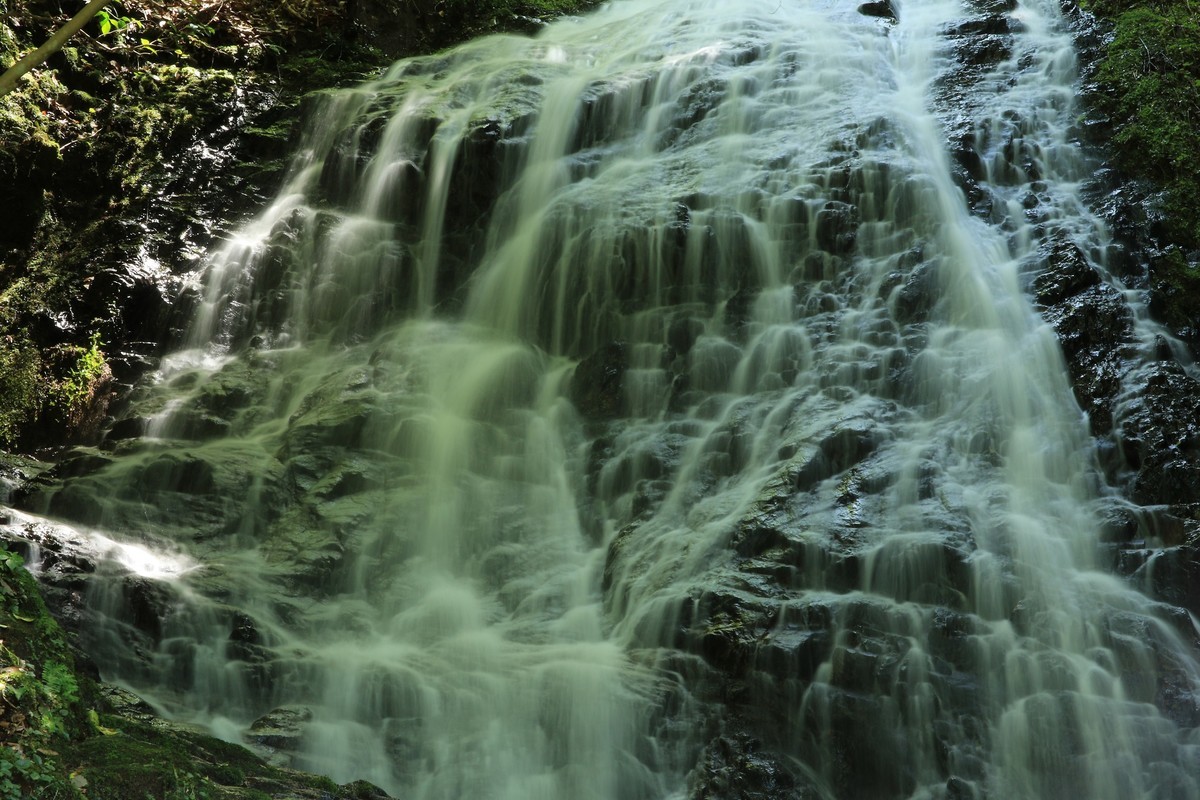 f:id:noririn_0610:20210601104905j:plain