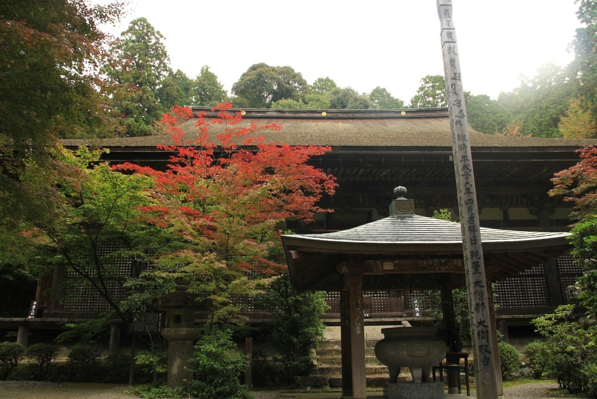 f:id:noririn_0610:20211102100143j:plain