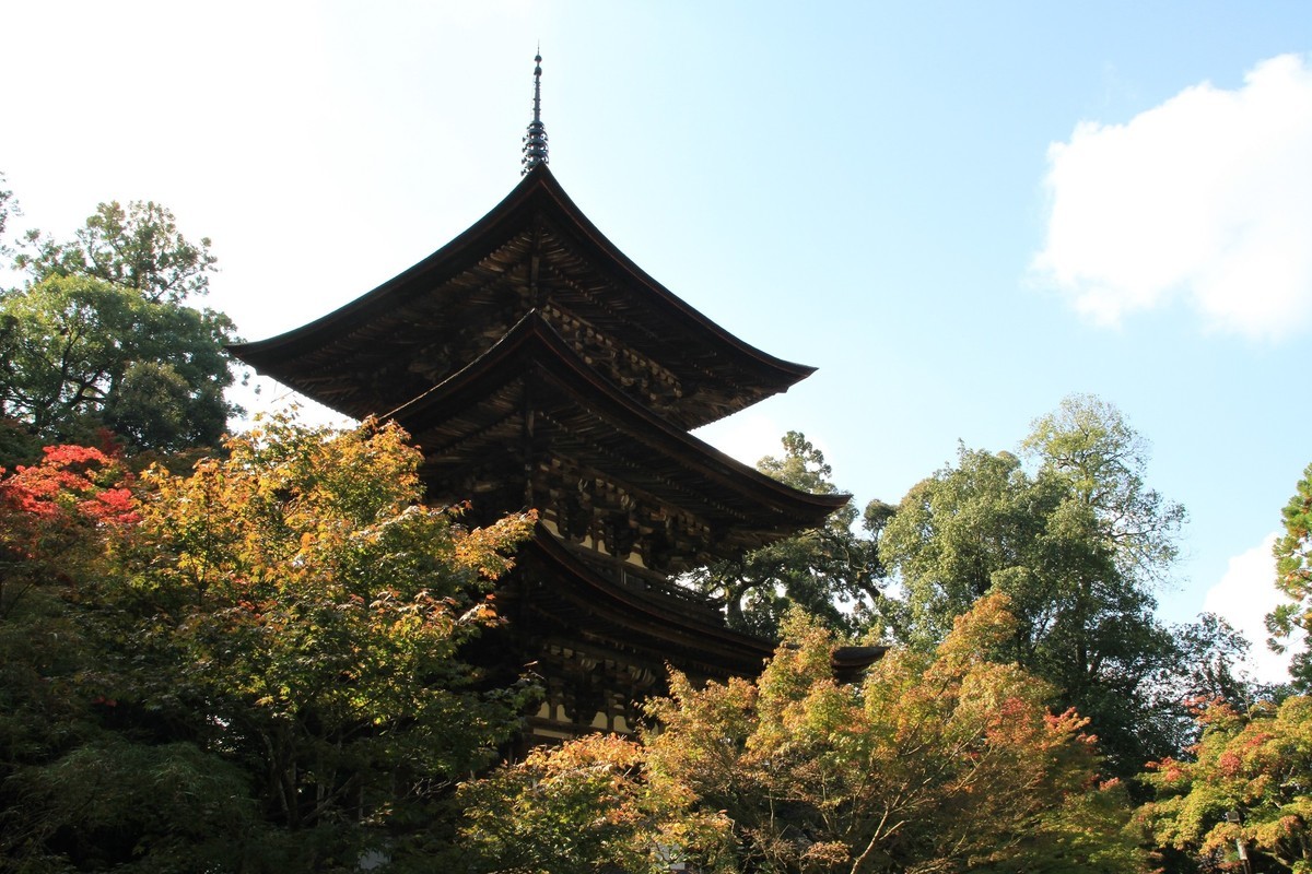 f:id:noririn_0610:20211102112556j:plain