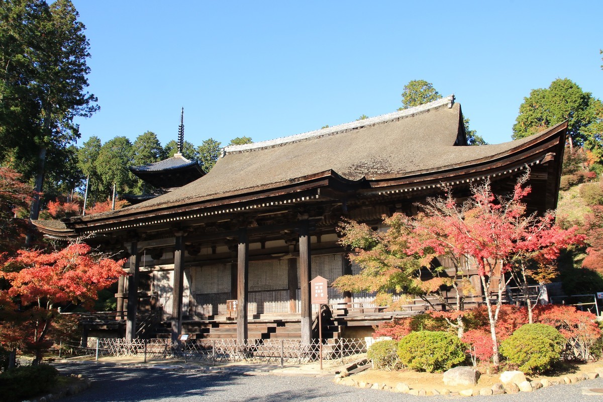 f:id:noririn_0610:20211113090056j:plain