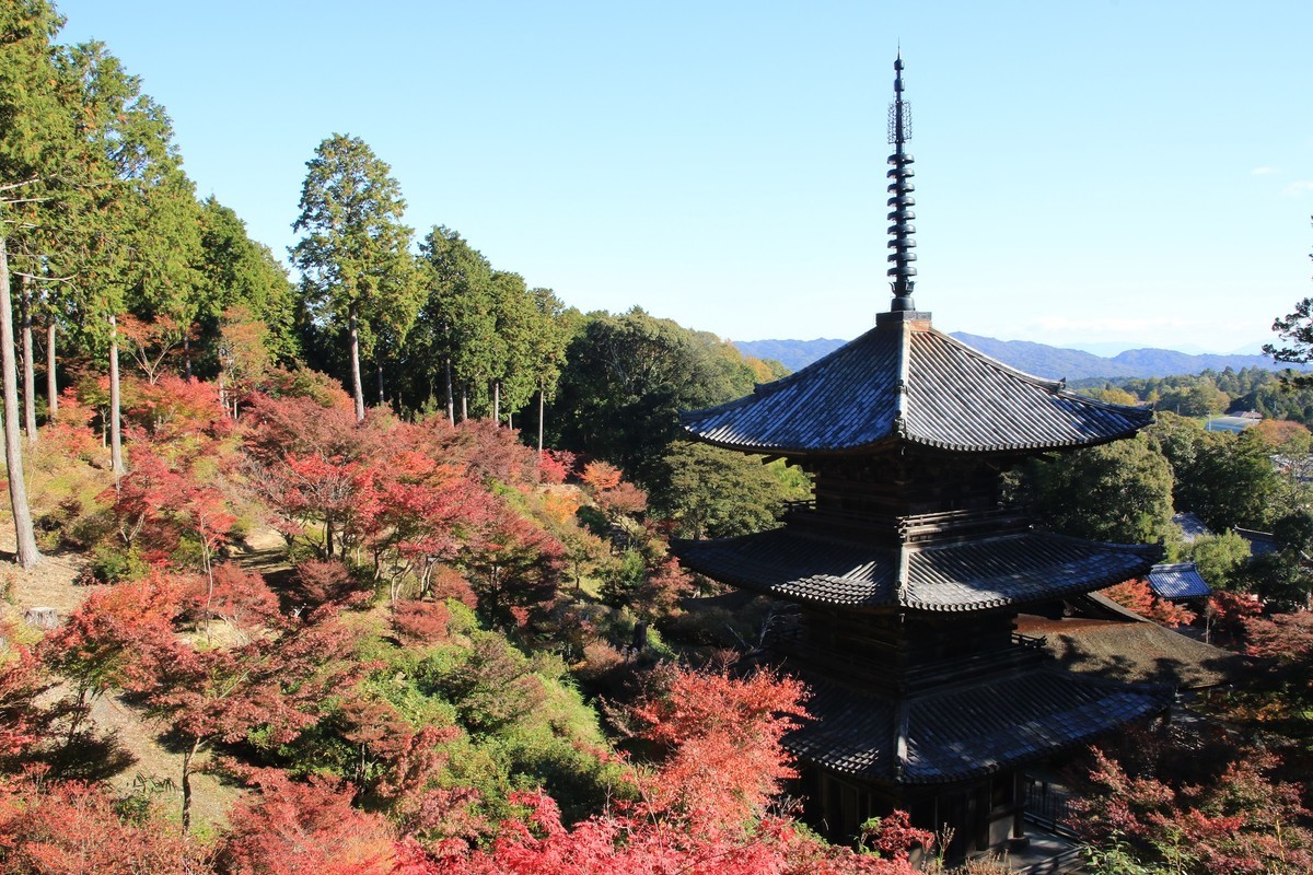 f:id:noririn_0610:20211113093514j:plain