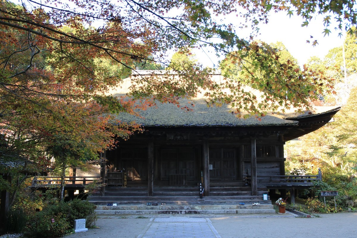 f:id:noririn_0610:20211113100528j:plain