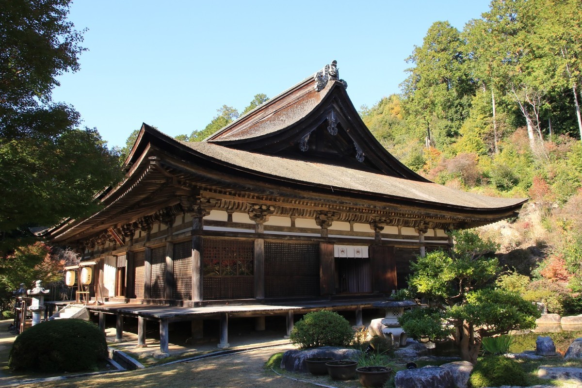 f:id:noririn_0610:20211113114041j:plain