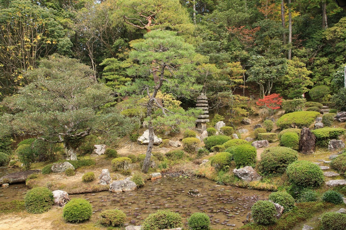 f:id:noririn_0610:20211113131722j:plain