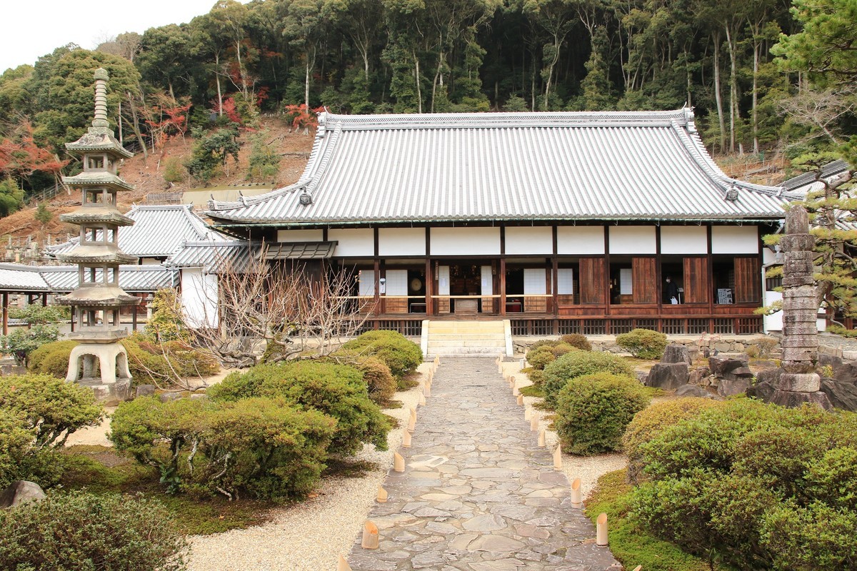 f:id:noririn_0610:20211201102055j:plain