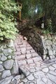 20241031201631