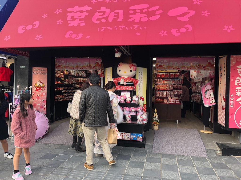 f:id:noririnsnowflake:20190105233236j:image