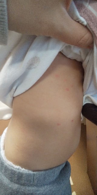 f:id:norisakun:20210129162853j:image f:id:norisakun:20210129162853j:image