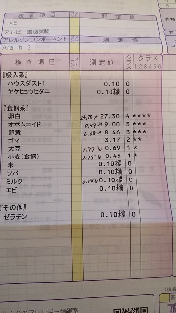 卵アレルギー数値悪化 オボムコイドー アラフォー主婦 ときどき受験生