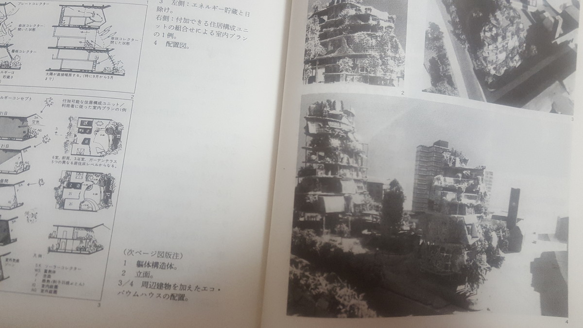 自然な構造体―自然と技術における形と構造、そしてその発生プロセス 