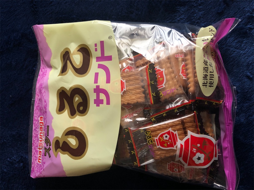 f:id:norisknomylife:20210329160207j:image