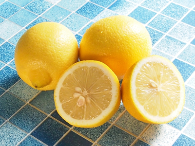 f:id:norisuke80:20171025201846j:plain